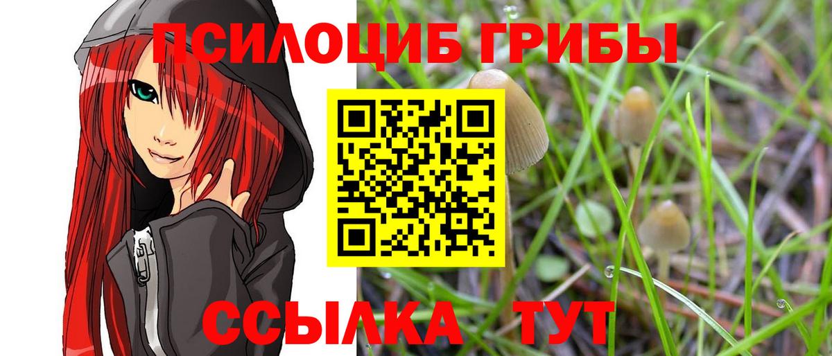 Карачаевск  Галлюциногенные грибы ЛСД  Вход с VPN 