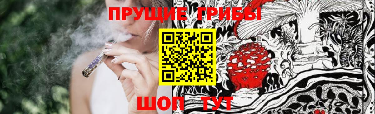 Галлюциногенные грибы GOLDEN TEACHER Карачаевск